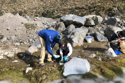 Fotografía cedida por la Universidad Internacional SEK y fechada el 27 enero de 2018 del equipo investigador formado por Hernán Moina y Susana Chamorro en el glaciar del Antisana.
