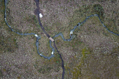 Fotografía cedida por el Ministerio de Ambiente de Ecuador fechada el 13 de abril de la zona del norte del país declarada Área de Protección Hídrica, en la provincia de Carchi. Ecuador ha declarado un área de la provincia de Carchi, en el norte del país, como área de protección hídrica, la más grande hasta ahora de una decena que ya existen por todo el territorio nacional y que buscan proteger el derecho al agua de la población.