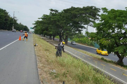 El mantenimiento y limpieza de la vía a la costa debe ser permanente.
