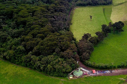 Una vista aérea del bosque
