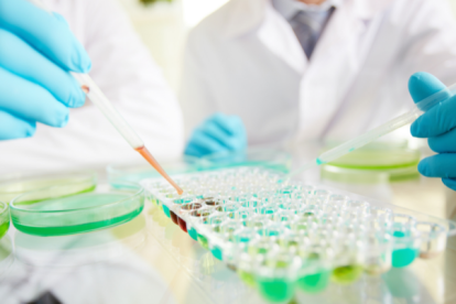 El freno a la producción de proteínas reduciría la réplica viral del SARS-CoV-2 en células infectadas.