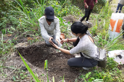 Actividad. Al menos 20 personas participaron en la siembra y minga de limpieza.