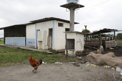 ESCUELA RURAL 5 DE JUNIO DEL RECINTO PALO ALTO DEL CANTON DAULE/JIMMY NEGRETE/GUAYAQUIL-ECUADOR