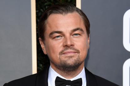 Leonardo Dicaprio ha apoyado en varias ocasiones a diferentes iniciativas ambientales.