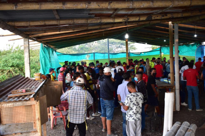 La policía intervino una gallera clandestina en General Villamil Playas.