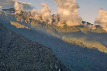 La zona es rica en biodiversidad.