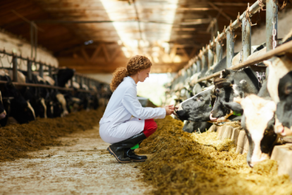 El país suramericano es el quinto productor y el cuarto exportador mundial de carne vacuna.