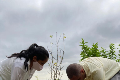 Hecho. Al menos 20 especies de árboles nativos fueron plantados hoy.