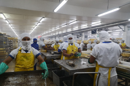 Las industrias han aplicado protocolos para tener la trazabilidad de la materia prima.
