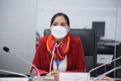 La legisladora fue elegida presidenta de la Comisión de Régimen Económico.