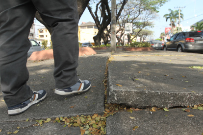 Ubicación. Así luce el parterre central de la Rodolfo Baquerizo, cerca de la calle Benjamín Carrión.