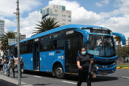 Se seleccionarán 16 empresas para dar el servicio en Quito. Se eliminarán 441 unidades.