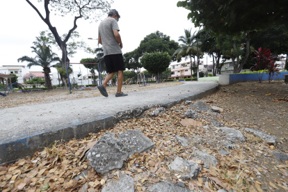 Parque. El cemento de las camineras se perdió, está lleno de piedritas.