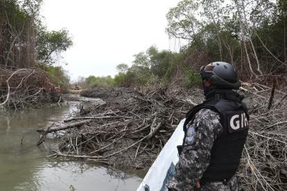 Referencial. Uno de los artículos demandados tiene relación a las actividades permitidas en el manglar.