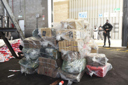 Una voluminosa cantidad de droga antes de la incineración en un local apropiado para esta actividad.