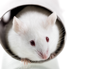 De cara a futuras misiones de larga duración, por ejemplo a Marte, la radiación espacial puede llegar a ser un serio problema de salud.