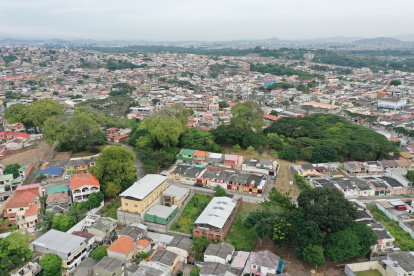 Naturaleza. Una visión global del bosque seco tropical de Samanes 1.