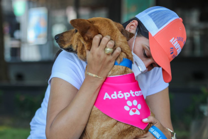 Actividad. La jornada de adopción se llevó a cabo este sábado 12 de junio.