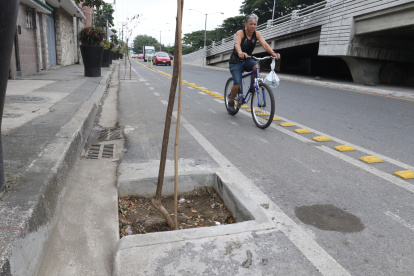14-06-2021-Alex Lima-Av. Barcelona los huecos para los arboles no dejan maniobrar al ciclista