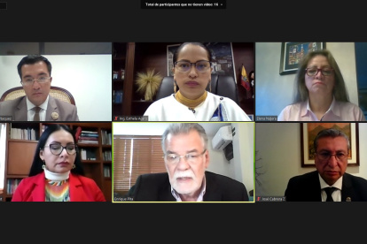 El pleno del CNE sesionó de manera virtual para conocer el informe técnico.