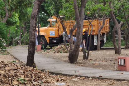 Trabajo. La atención se dio en los parques de las manzanas 101 y 105.