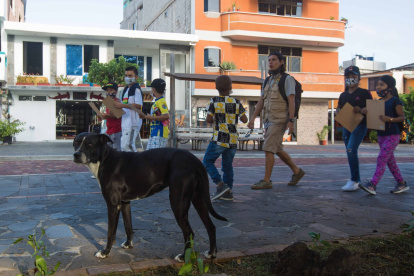San Cristóbal. Una ordenanza evitará que los perros deambulen sin sus dueños por la calles de esta ciudad.
