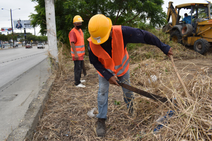Trabajadores cortan la maleza antes de iniciar la construcción del cerramiento.
