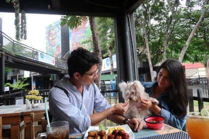 Guayarte. En esta plaza guayaquileña, hay locales que han acondicionado espacios internos y externos para  los animales de compañía.