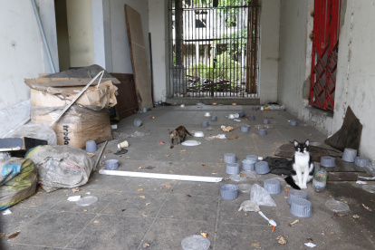 Alerta. Algunos edificios patrimoniales de la ciudad están en desuso.