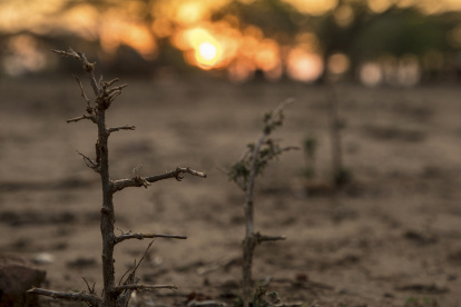 Los efectos del cambio climático ya son visible en muchs regiones del planeta.