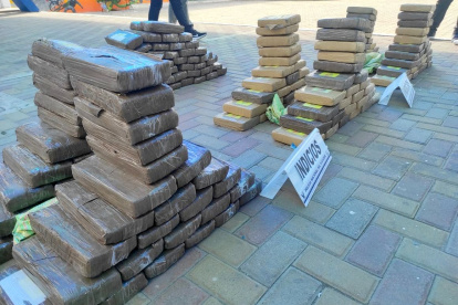 Loja. Según Antinarcóticos, 400 paquetes de marihuana fueron incautados el lunes pasado, en Zapotillo.