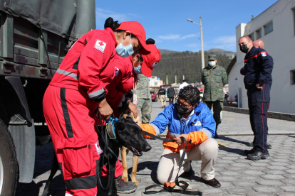 En la etapa de capacitación participan integrantes de las Fuerzas Armadas, Bomberos de Quito y Cruz Roja.