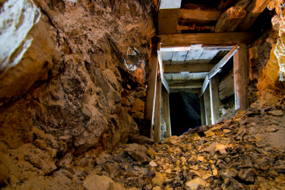 Estas acciones se llevan a cabo tanto en las parroquias del Chocó Andino, como en los territorios de Acus Mashpi, Pachijal, Yunguilla y Camino de los Yumbos.
