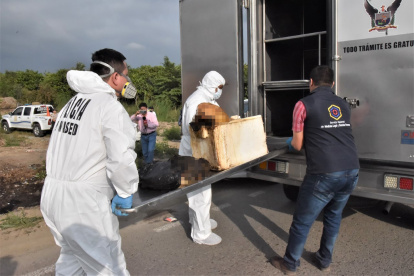 Más del 34 % de los agresores son convivientes de las víctimas de femicidio, seguido de cerca de un 18 % de cónyuges.