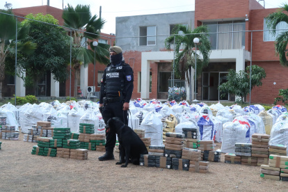 El pasado fin de semana, la Policía Antinarcóticos se incautó 7.3 toneladas de cocaína, en el puerto marítimo de Guayaquil, al sur de la ciudad.