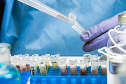 El sumo pontífice calificó a la ciencia como un recurso para construir paz.