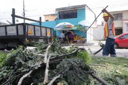 En una intervención pasada, el Cabildo atendió el problema.