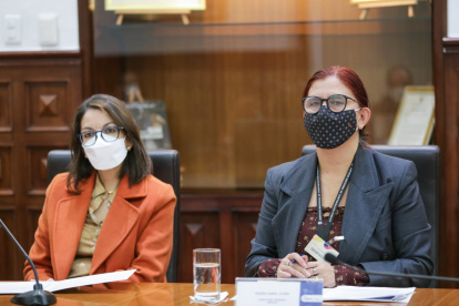 Ministra de Salud Ximena Garzón y Directora del SERCOP anunciaron que el programa tendrá asesoría internacional.