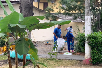 Los moradores de zona para recoger la basura, cortar la maleza, podar los árboles y sembrar nuevas plantas.