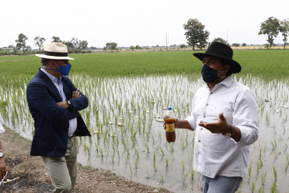 Cultivo. En la siembra de arroz se usan patos para evitar utilizar herbicida y no se usan químicos que luego contaminan el río.  2. Biotanque. A este tanque van las aguas servidas. Allí son tratadas para que al regresar al río estén libres de coliformes fecales.