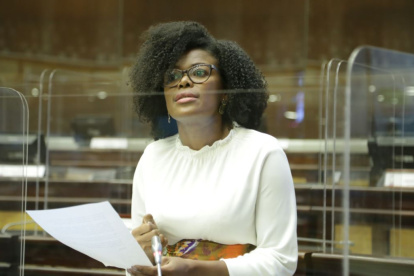 La asambleísta Paola Cabezas argumenta que en la actual propuesta de Código Niñez no observa en su totalidad la institucionalidad, por ejemplo la existencia de los Consejos Nacionales de Igualdad.