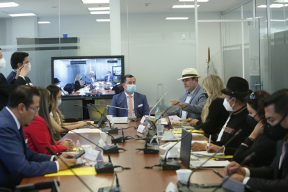 Comparecencia. Los integrantes del CPCCS han acudido a la Asamblea en varias ocasiones los últimos días.