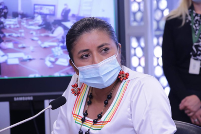 En las últimas horas, se viralizó un vídeo en el que aparece la parlamentaria Rosa Cerda y señala: "si roben, roben bien, justifiquen bien".