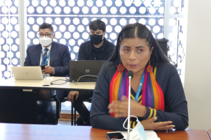 La legisladora es representante de la provincia Napo.