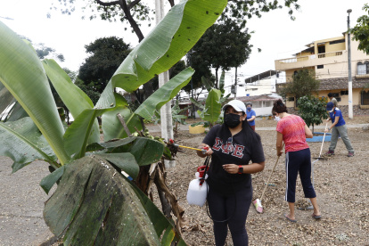 Acción. En la imagen aparecen algunos de los primeros moradores que han adoptado árboles y los lavan con agua y jabón.