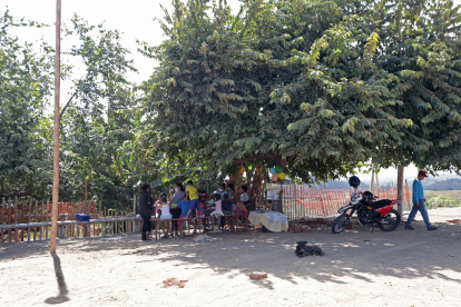 Los niños continúan recibiendo las clases bajo la sombra de un árbol.