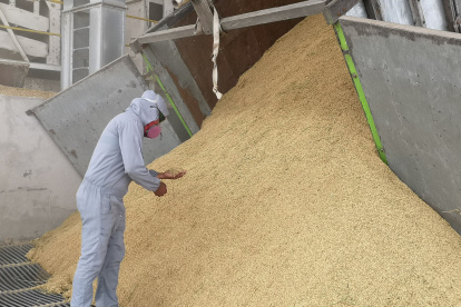 El problema es el exceso de producción.