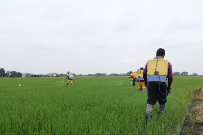 Se plantea dejar de producir en zona altas.