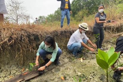 Personal del Ministerio del Ambiente participaron en la tarea de reforestación.