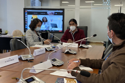 Comisión. Los legisladores analizaron este lunes 26 de julio del 2021 el caso Furukawa